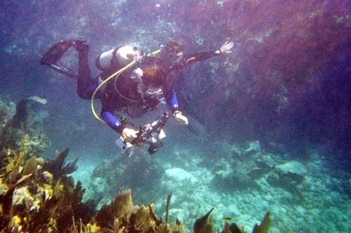 scuba diving in key largo,