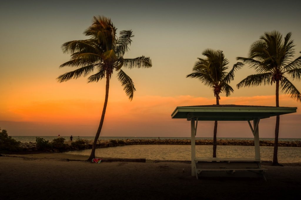 Palm Trees at sunset in Key largo Florida